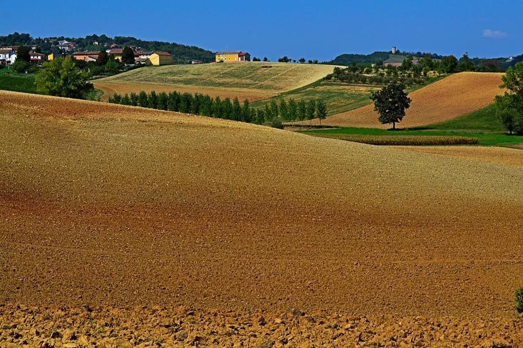 Cascina Manu Rosignano Monferrato
