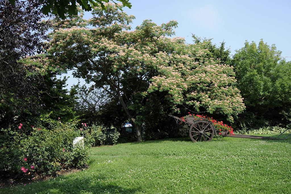 Cascina Manu Bed and breakfast